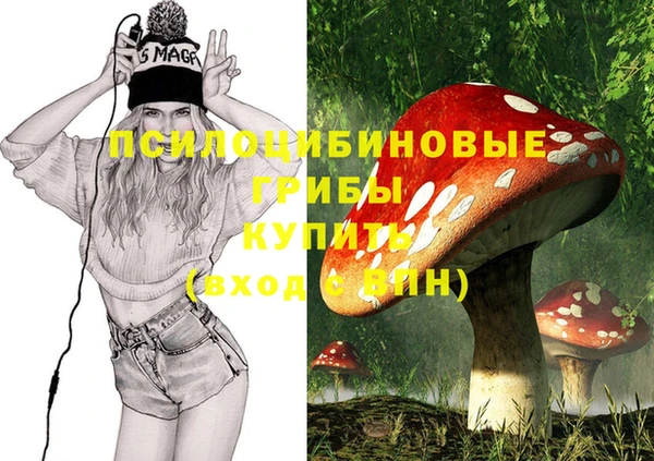 кокаин перу Заводоуковск