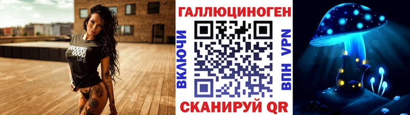 Псилоцибиновые грибы Psilocybe  Купить  Грайворон 